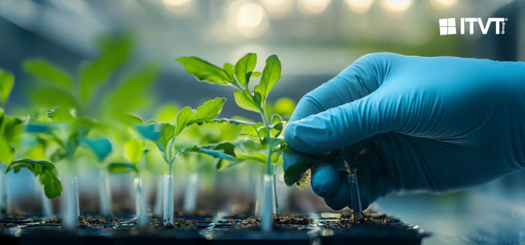 Eine behandschuhte Hand, die in einer kontrollierten Labor- oder GewÃ¤chshausumgebung sorgfÃ¤ltig junge grÃ¼ne SÃ¤mlinge pflegt und damit fÃ¼r PrÃ¤zisionslandwirtschaft und nachhaltige Innovation steht. Das ITVT-Logo erscheint in der oberen rechten Ecke.