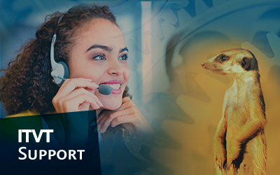 Eine Frau mit einem Headset fÃ¼hrt ein TelefongesprÃ¤ch, begleitet von einem ErdmÃ¤nnchen, das in der NÃ¤he steht.